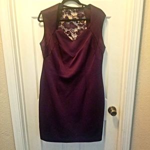 Plum Dress by CB